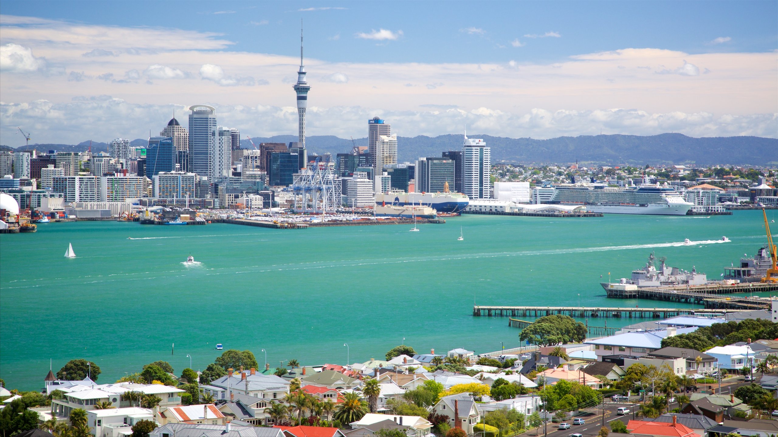 Auckland guide